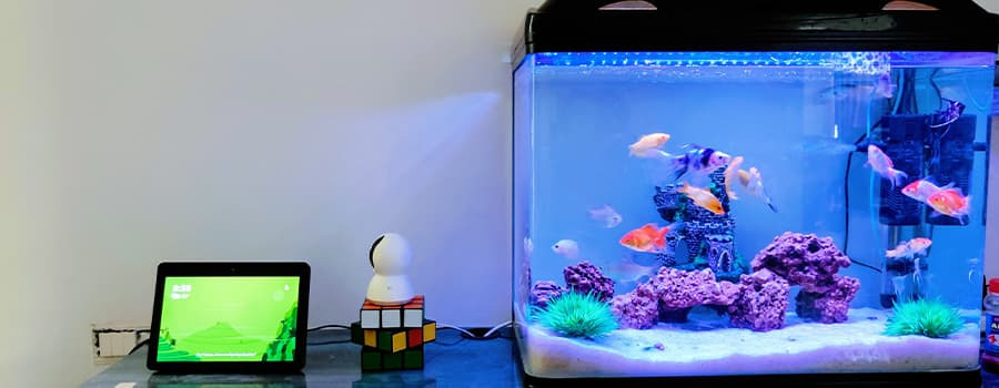 Comment calculer l’épaisseur d’un verre pour les aquariums ?